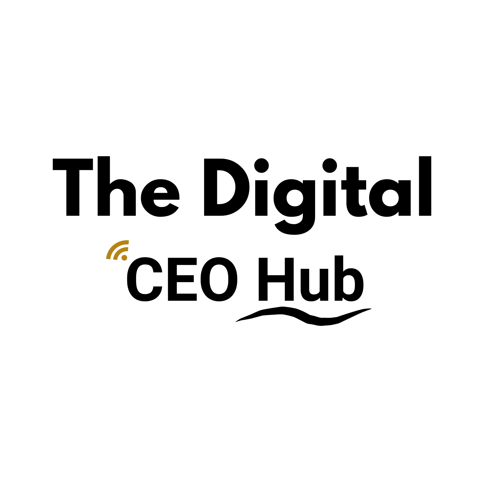 The Digital CEO Hub